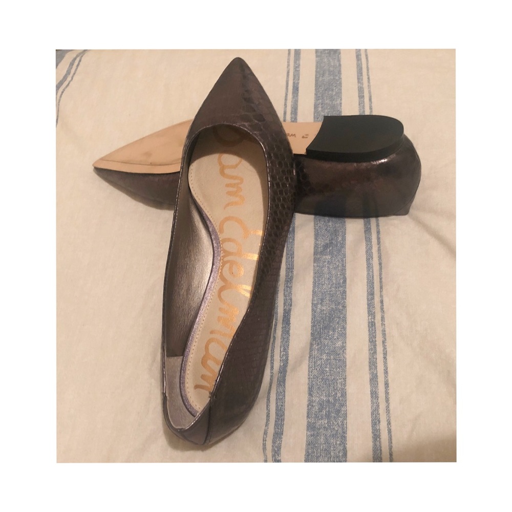 New Sam Edelman Rae Sterling Pointed Toe Flats